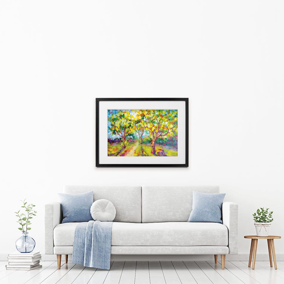 Trees In The Glow Of The Sun Framed Art Print wall art product Valenty / Shutterstock