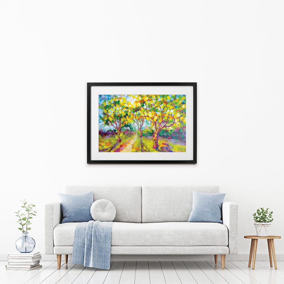 Trees In The Glow Of The Sun Framed Art Print wall art product Valenty / Shutterstock