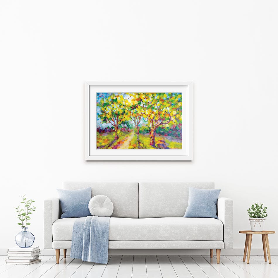Trees In The Glow Of The Sun Framed Art Print wall art product Valenty / Shutterstock