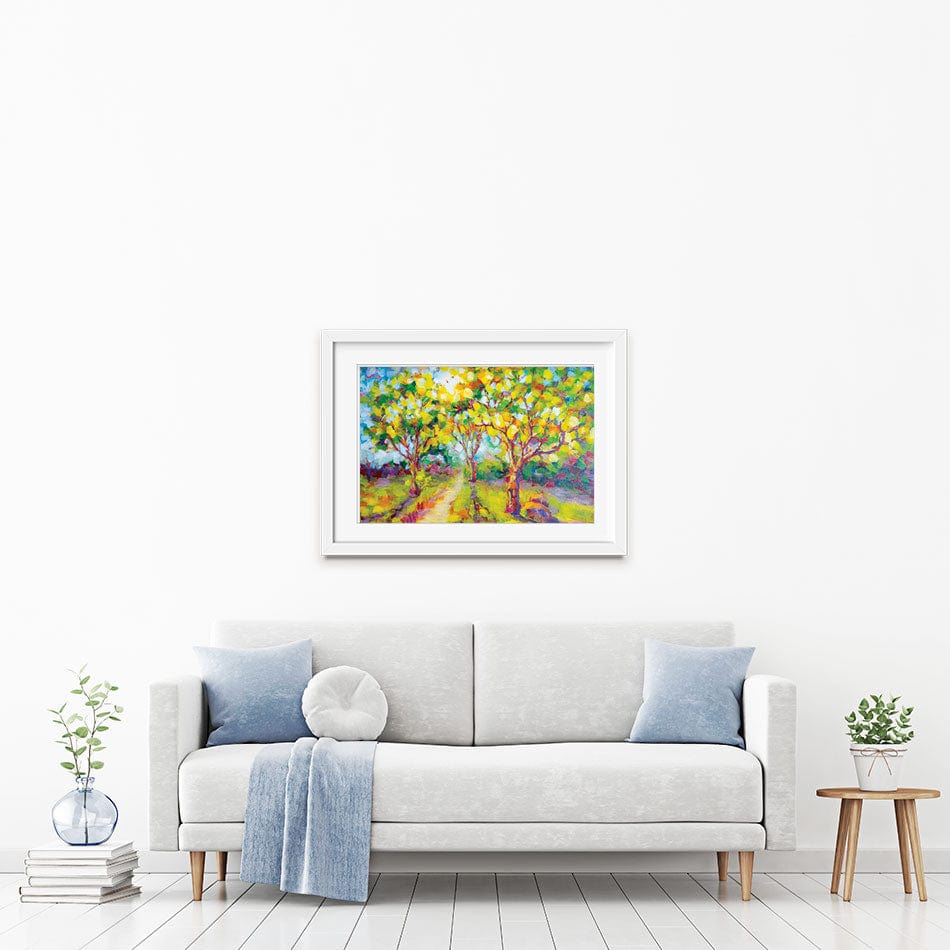 Trees In The Glow Of The Sun Framed Art Print wall art product Valenty / Shutterstock