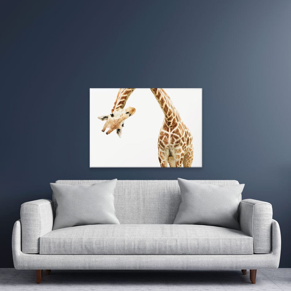 Well Hello There Canvas Print wall art product Lukiyanova Natalia frenta / Shutterstock