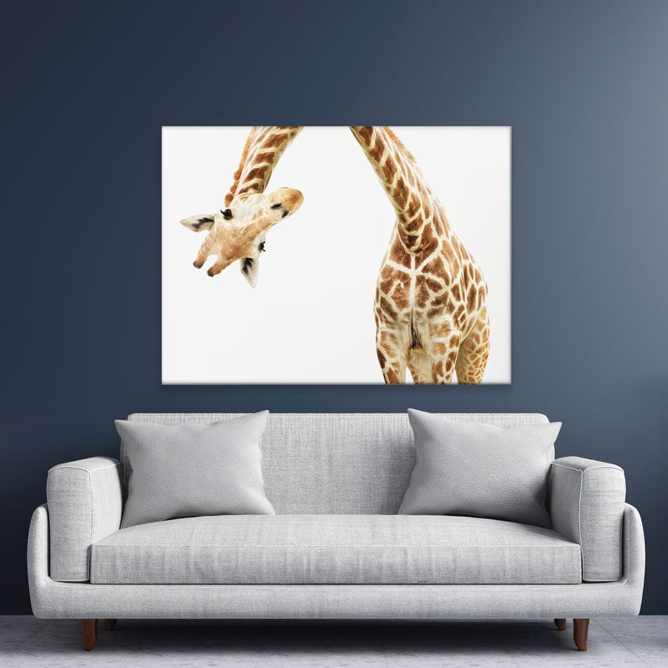 Well Hello There Canvas Print wall art product Lukiyanova Natalia frenta / Shutterstock