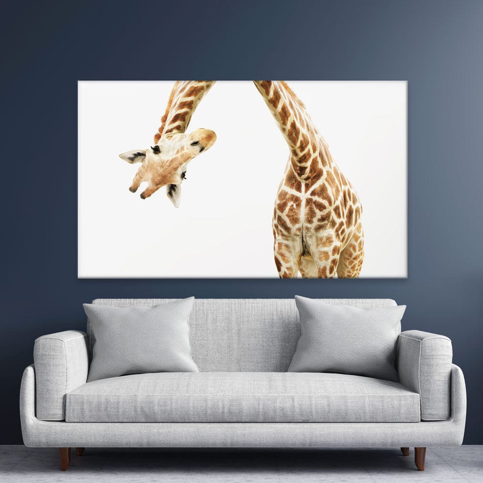 Well Hello There Canvas Print wall art product Lukiyanova Natalia frenta / Shutterstock