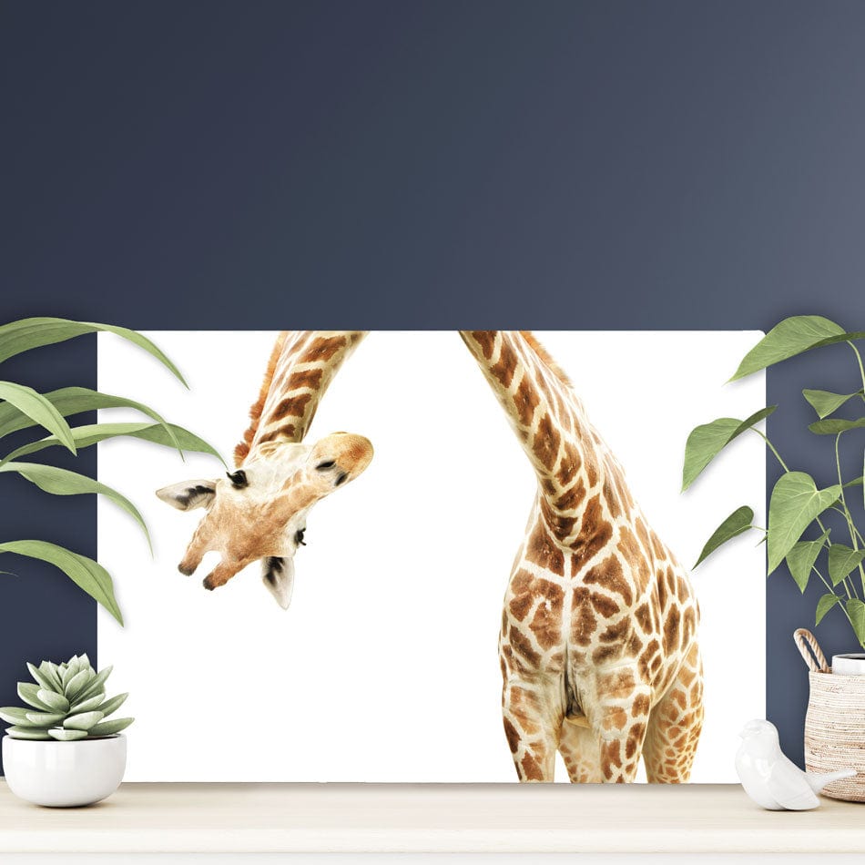 Well Hello There Canvas Print wall art product Lukiyanova Natalia frenta / Shutterstock