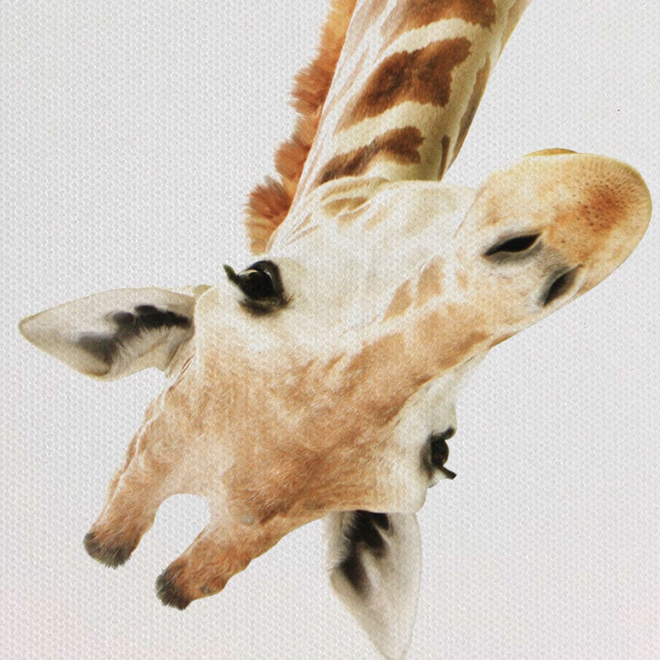 Well Hello There Canvas Print wall art product Lukiyanova Natalia frenta / Shutterstock